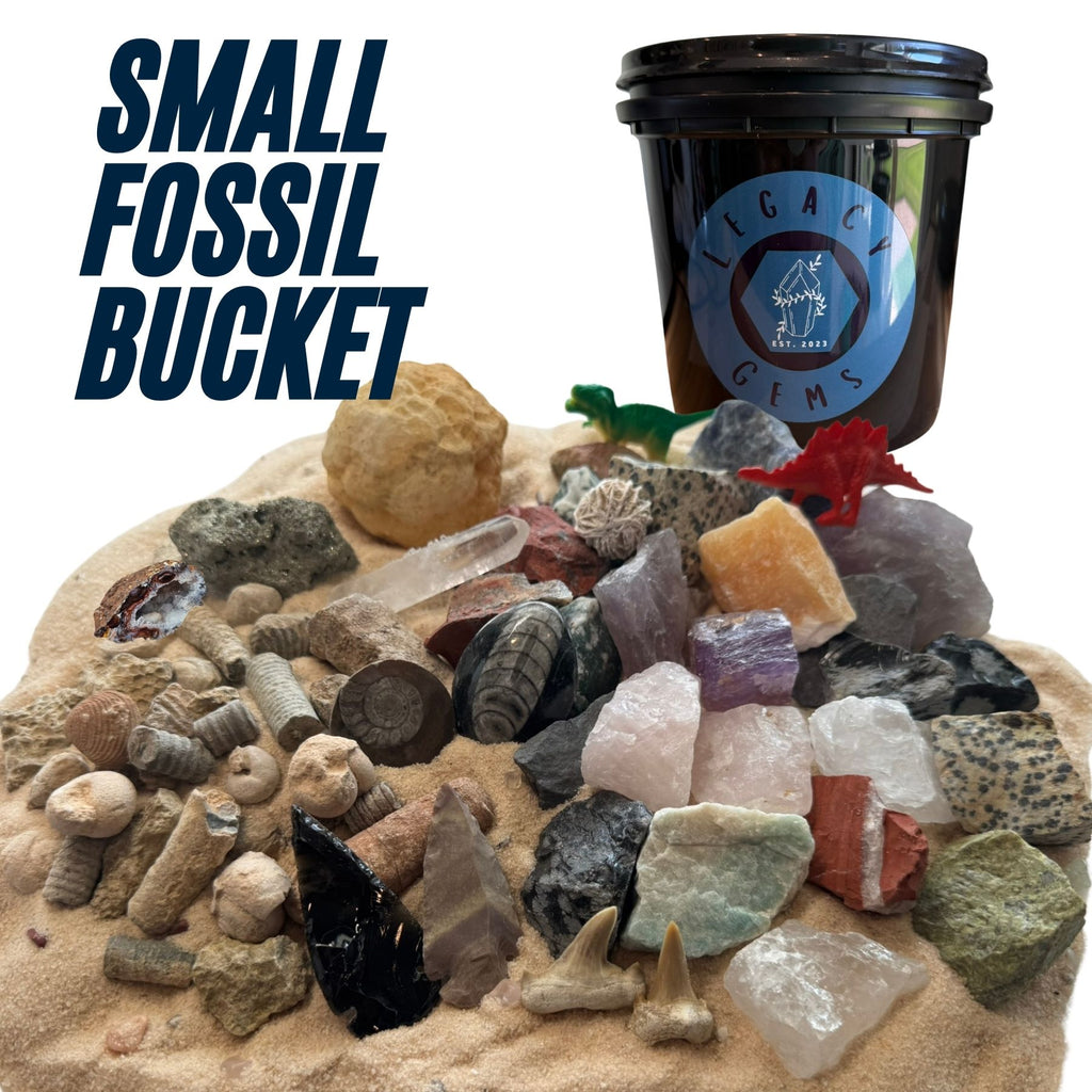 A small fossil bucket set displayed on sand with assorted rocks, fossils, crystals, and a black plastic bucket labeled Legacy Gems. Large text on the left reads 'SMALL FOSSIL BUCKET'.