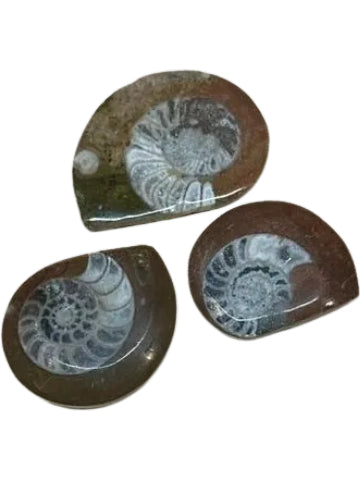 Fossil Mining Bucket