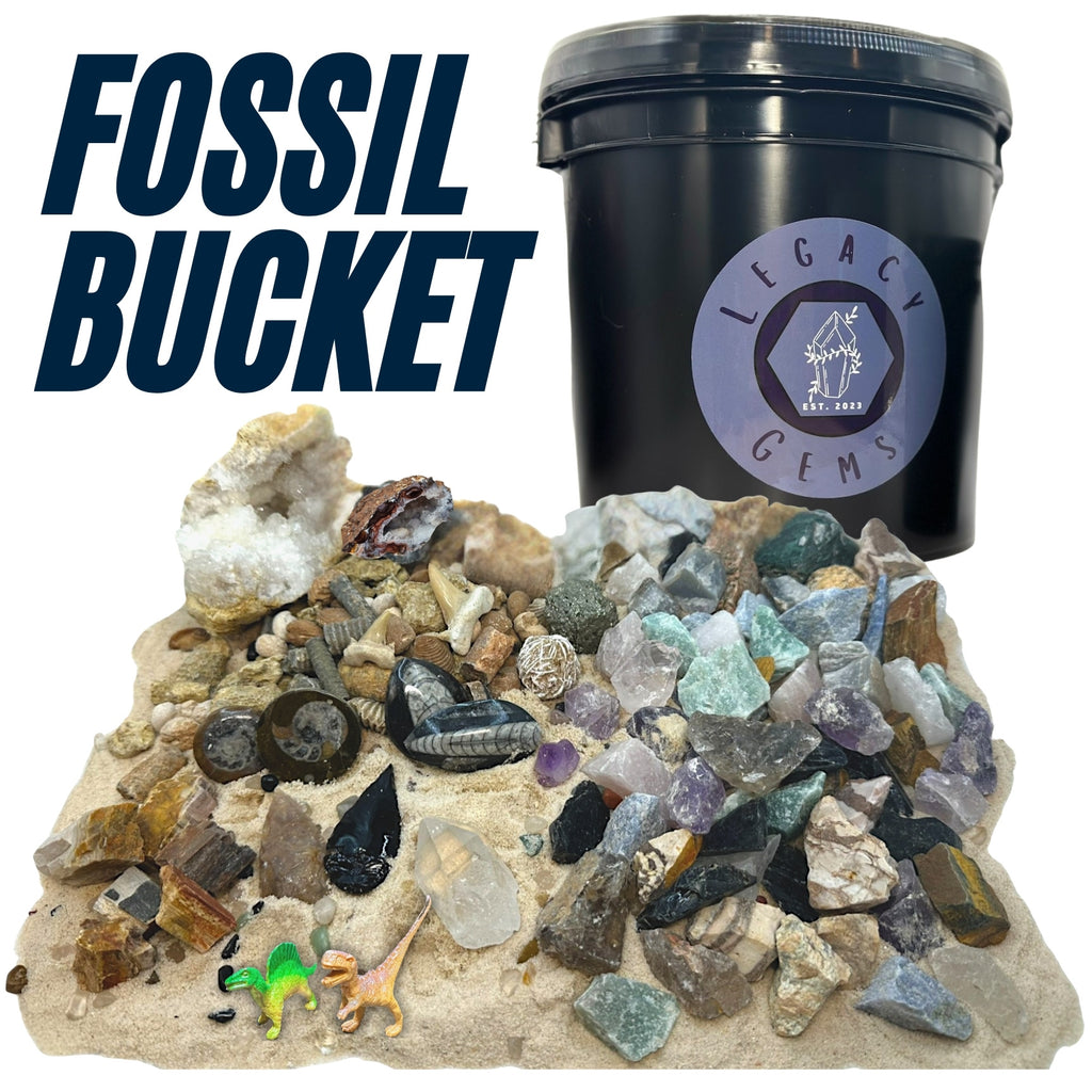 Fossil Mining Bucket
