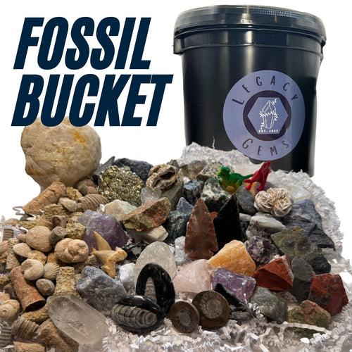 Fossil Mining Bucket